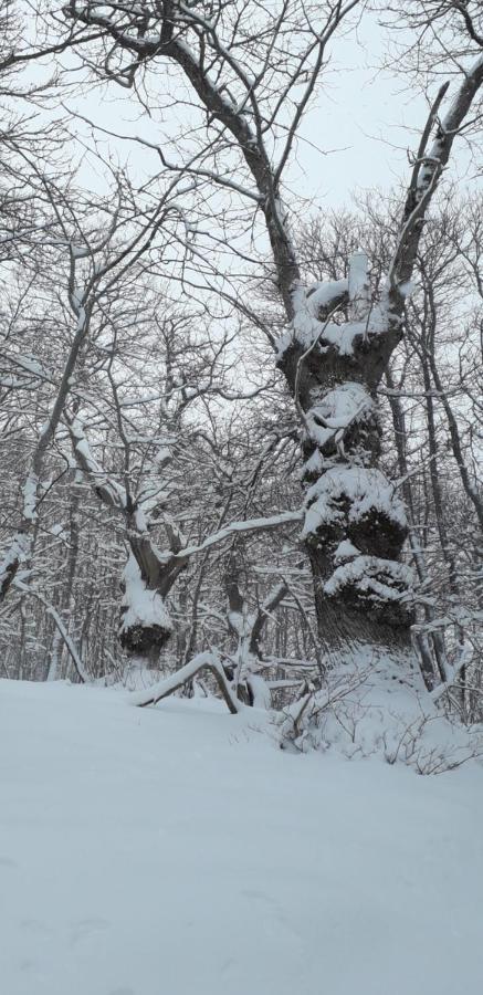 Baita La Stradella Serravalle  Buitenkant foto